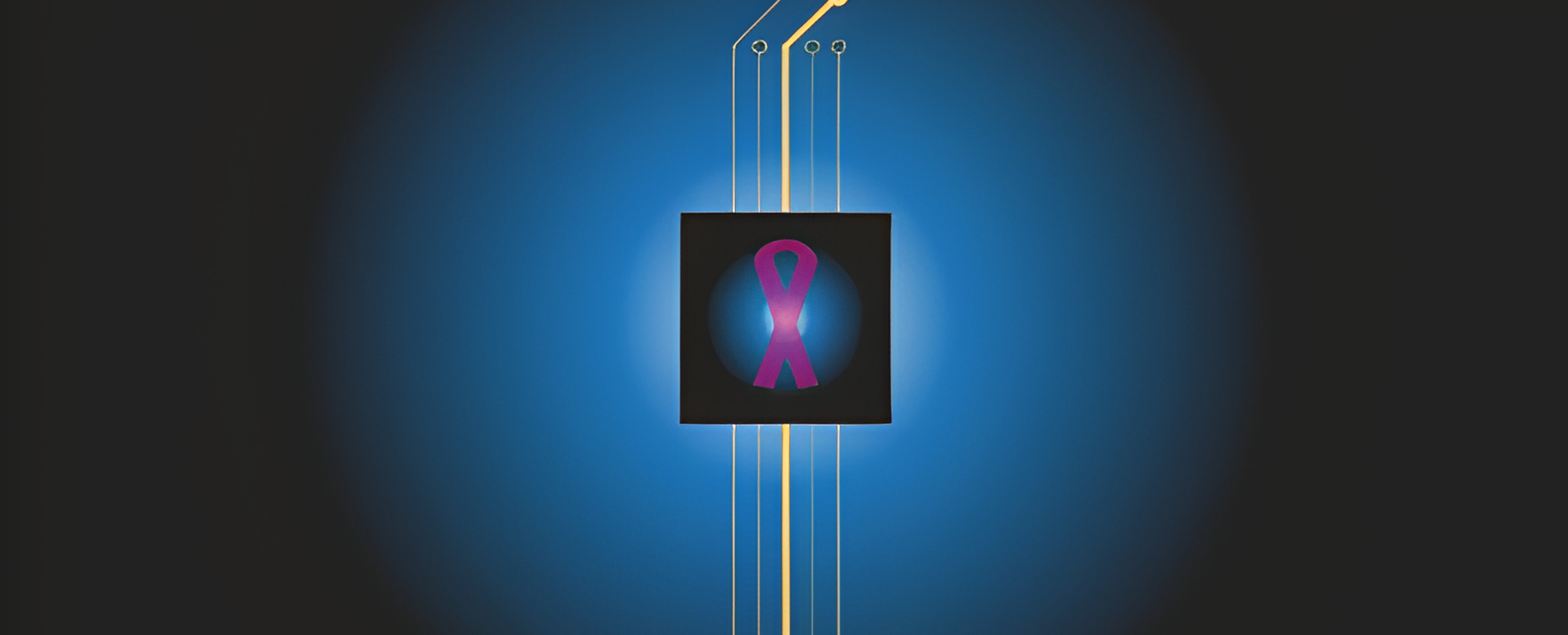 Understanding Test Results