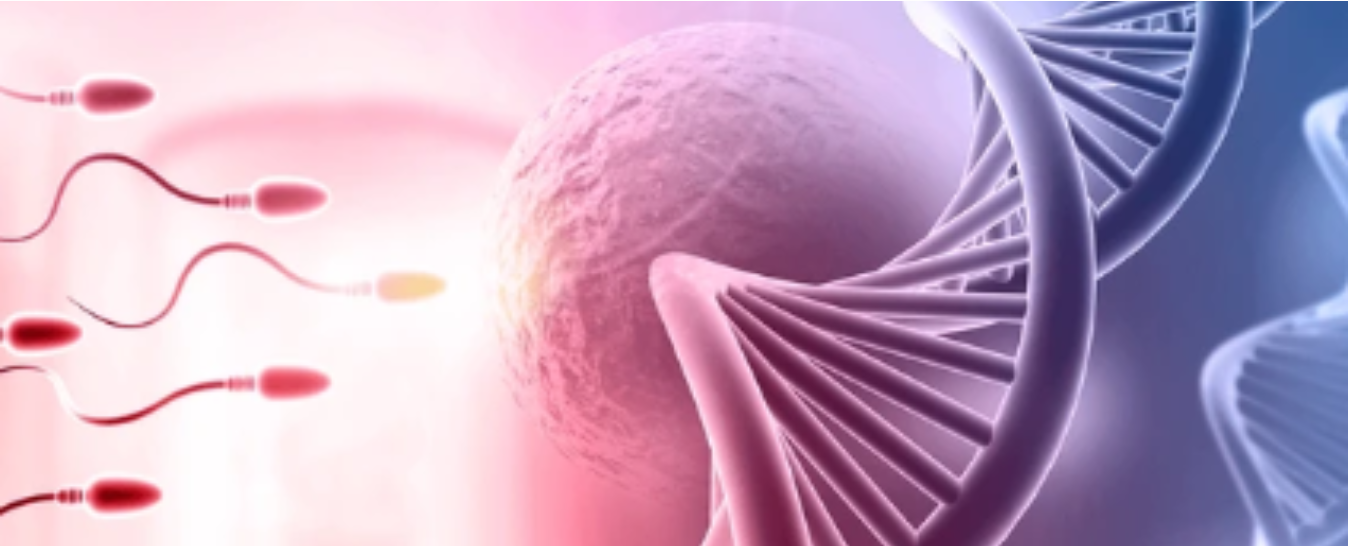 Reproductive Health Intervention Strategies