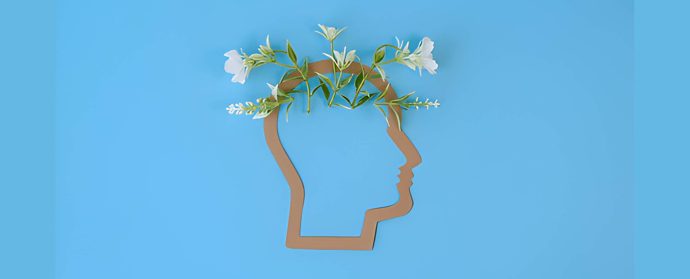 Cost and Accessibility