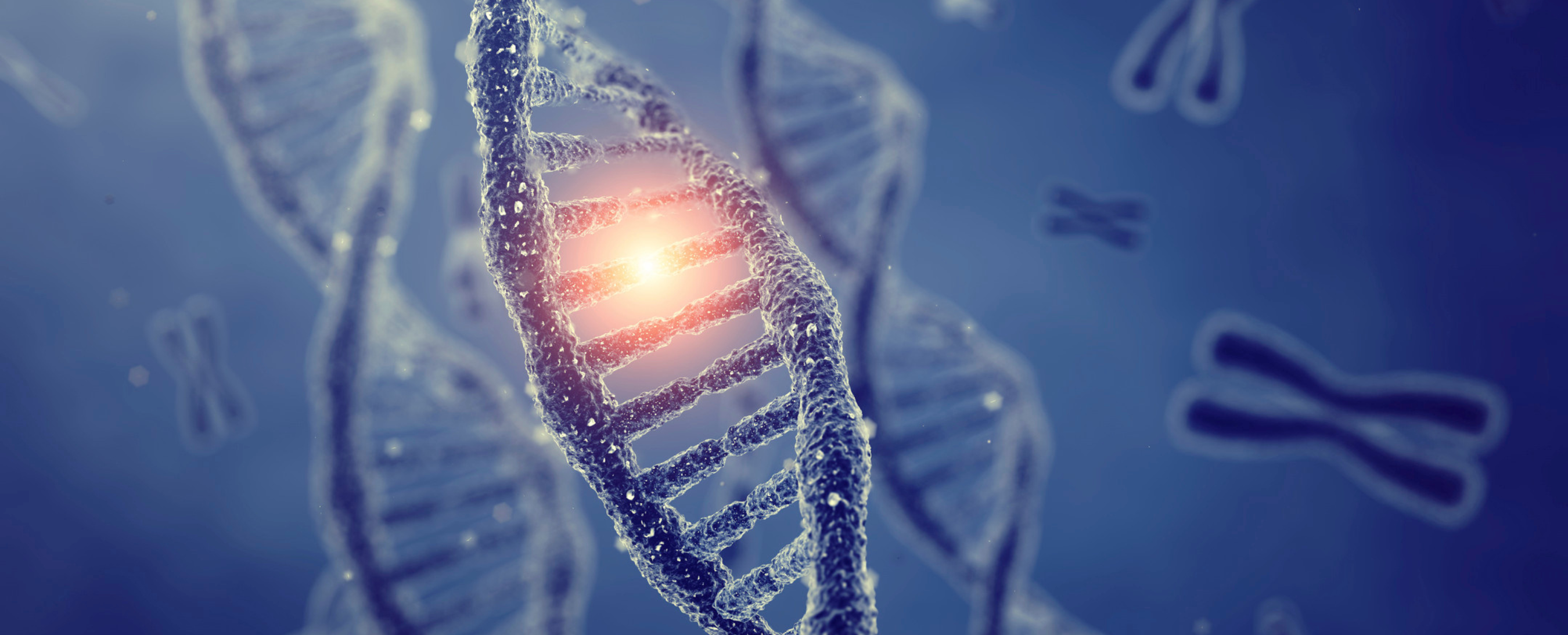 Nutrigenomic Analysis