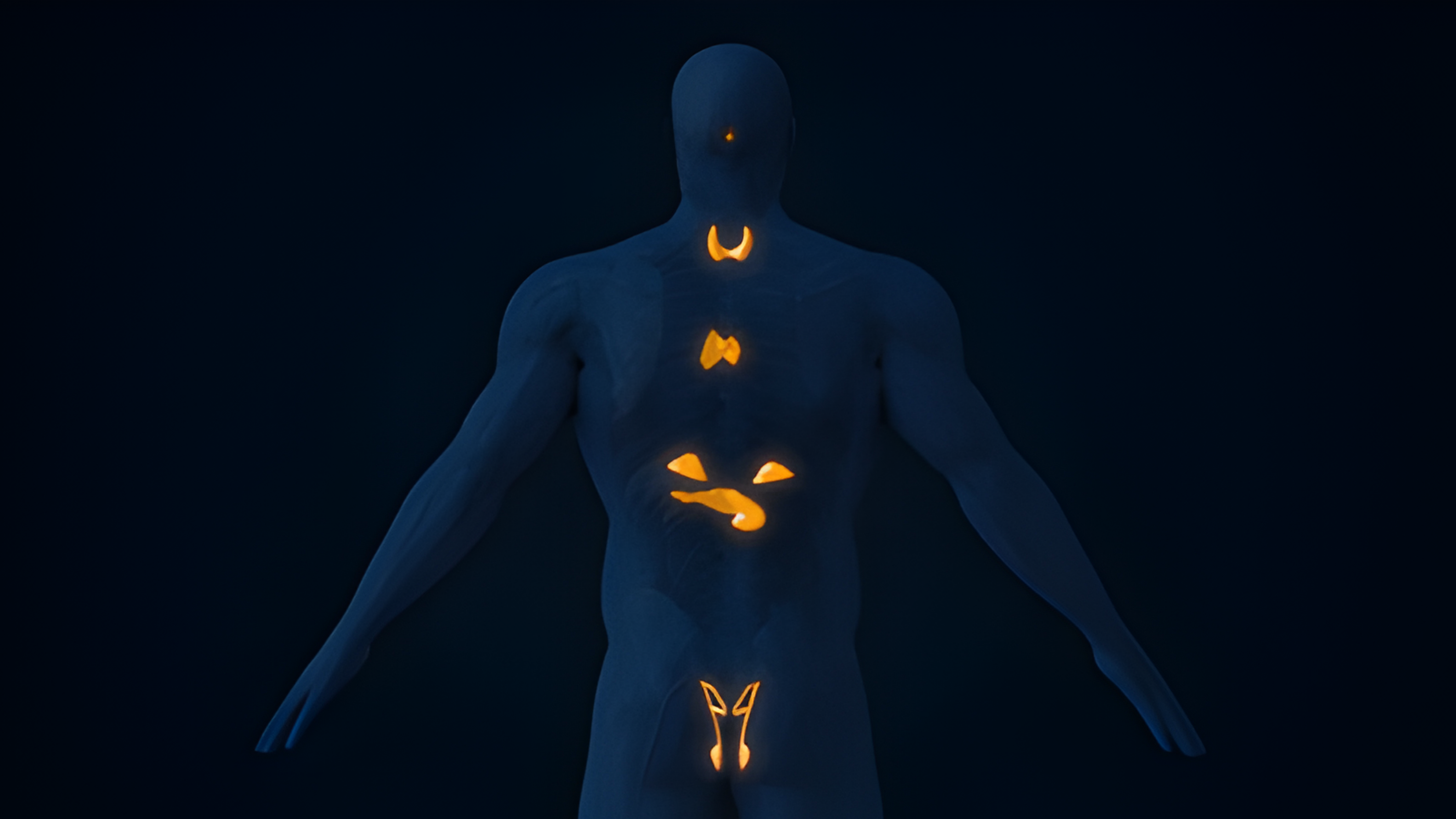 Endocrine System Comprehensive Testing in Delhi NCR: Hormonal Harmony in Urban Life