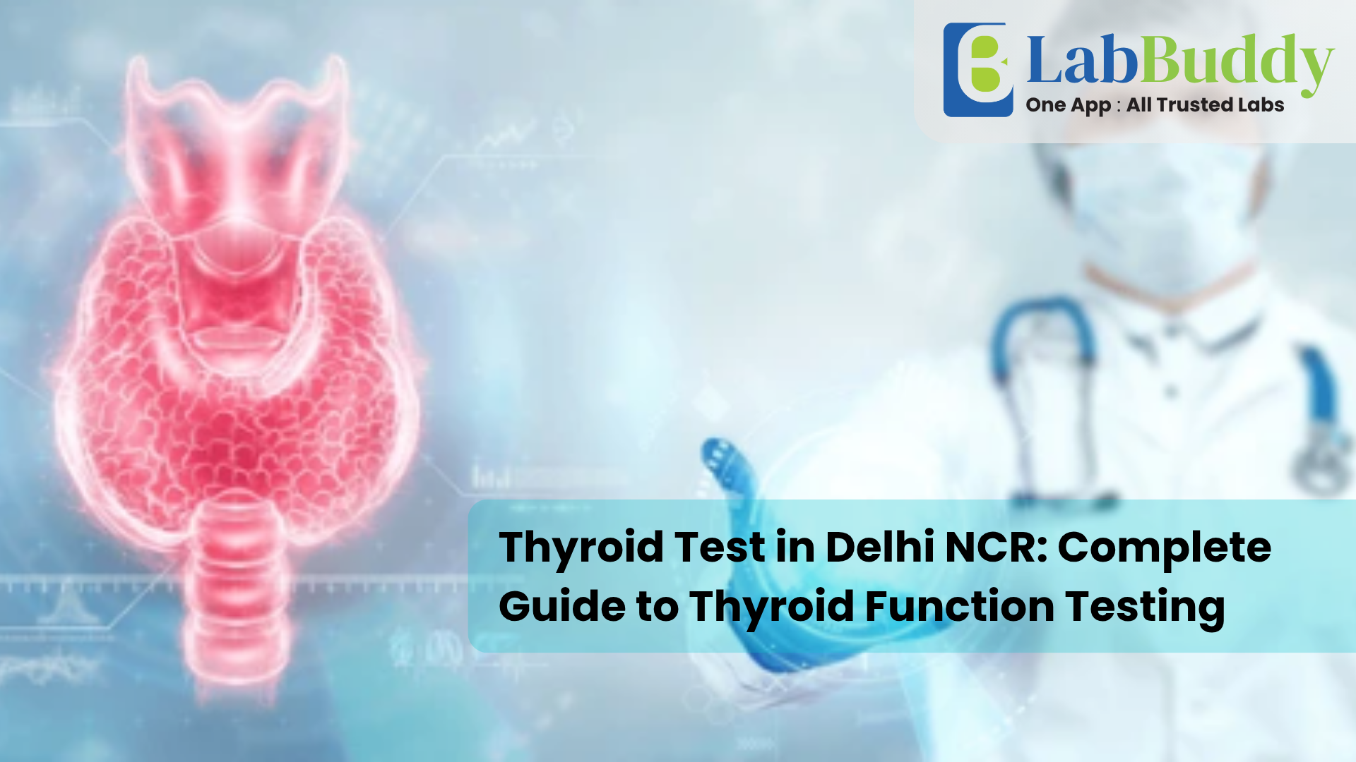 Thyroid Test in Delhi NCR: Complete Guide to Thyroid Function Testing