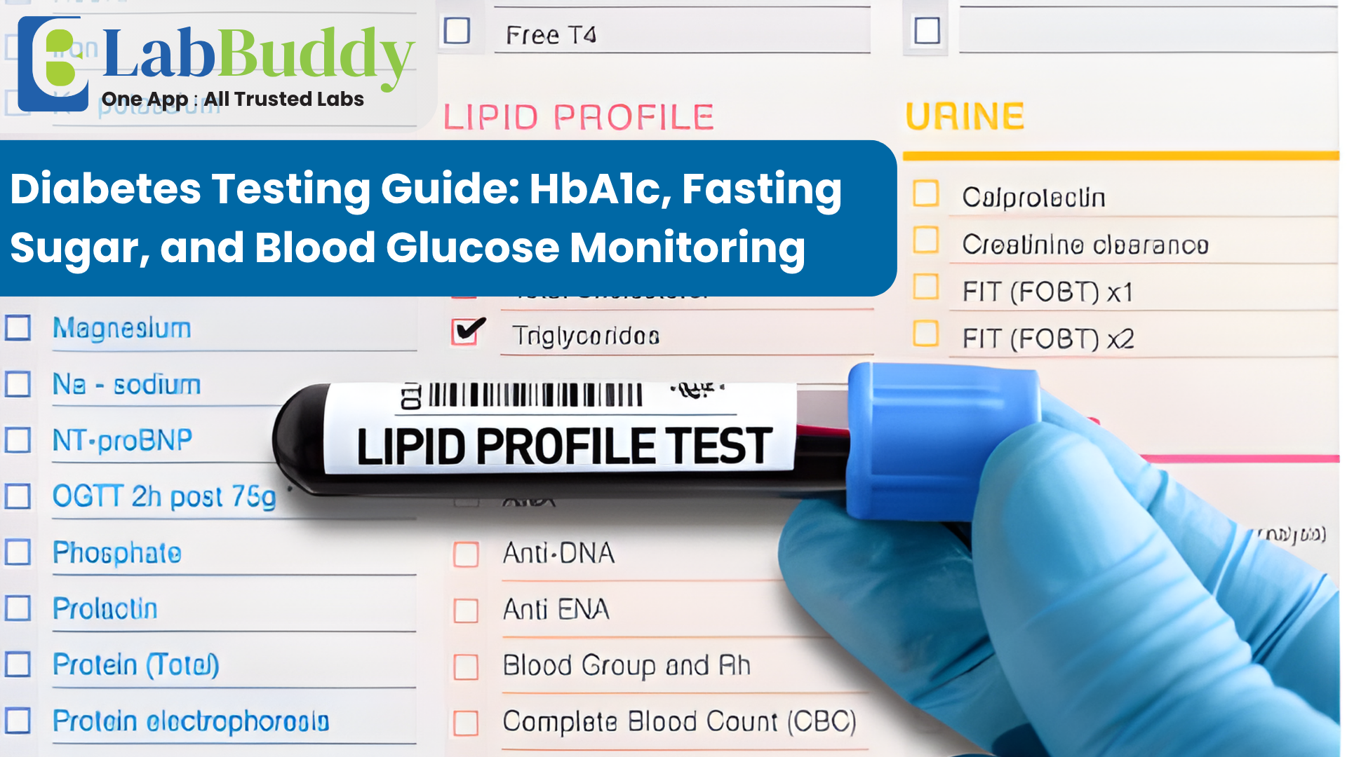 Diabetes Testing Guide: HbA1c, Fasting Sugar, and Blood Glucose Monitoring