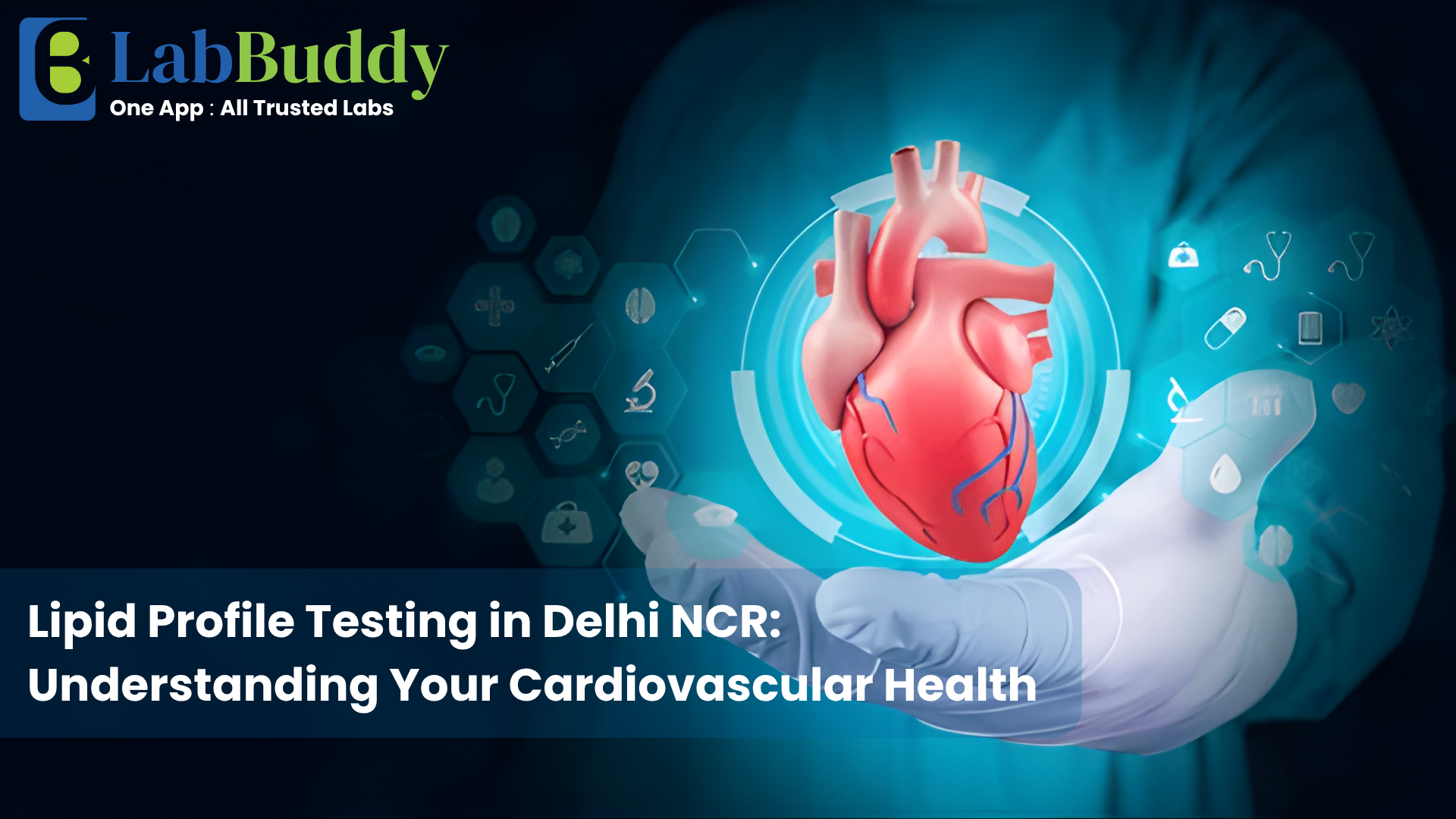 Lipid Profile Testing in Delhi NCR: Understanding Your Cardiovascular Health