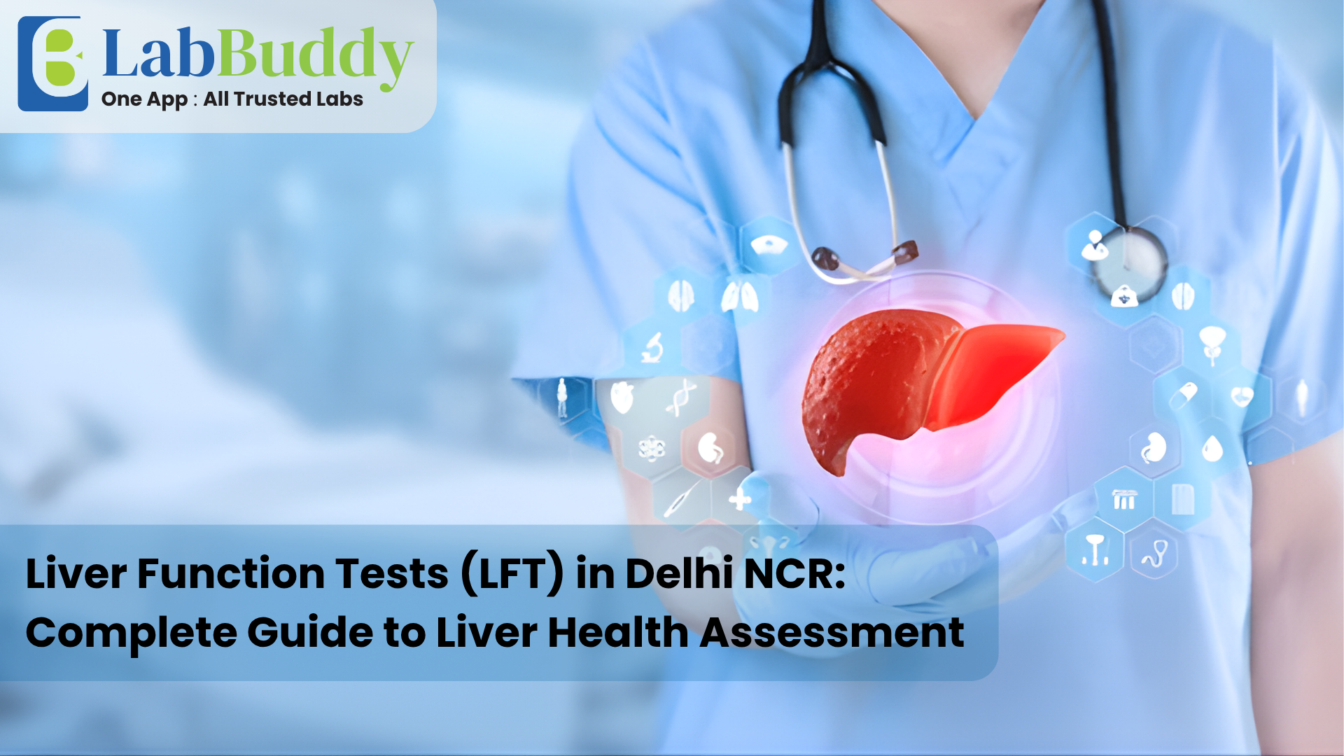 Liver Function Tests (LFT) in Delhi NCR: Complete Guide to Liver Health Assessment
