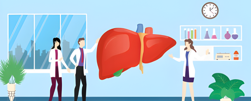 Understanding Liver Function Tests (LFT)