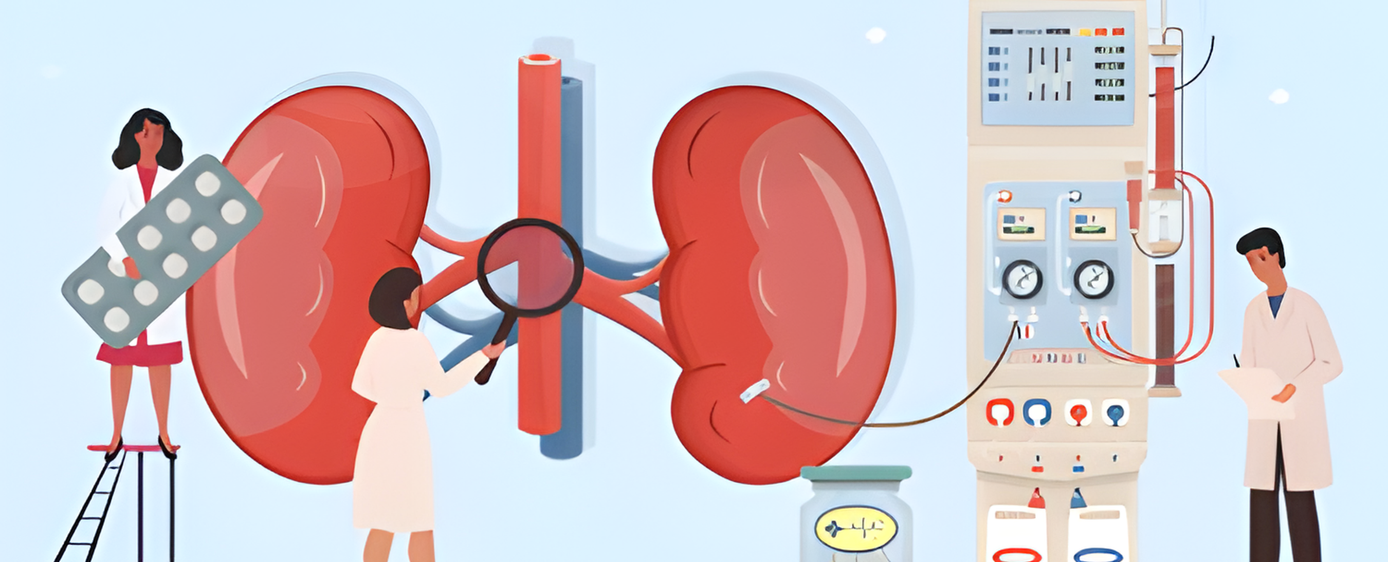 Understanding Kidney Function Tests