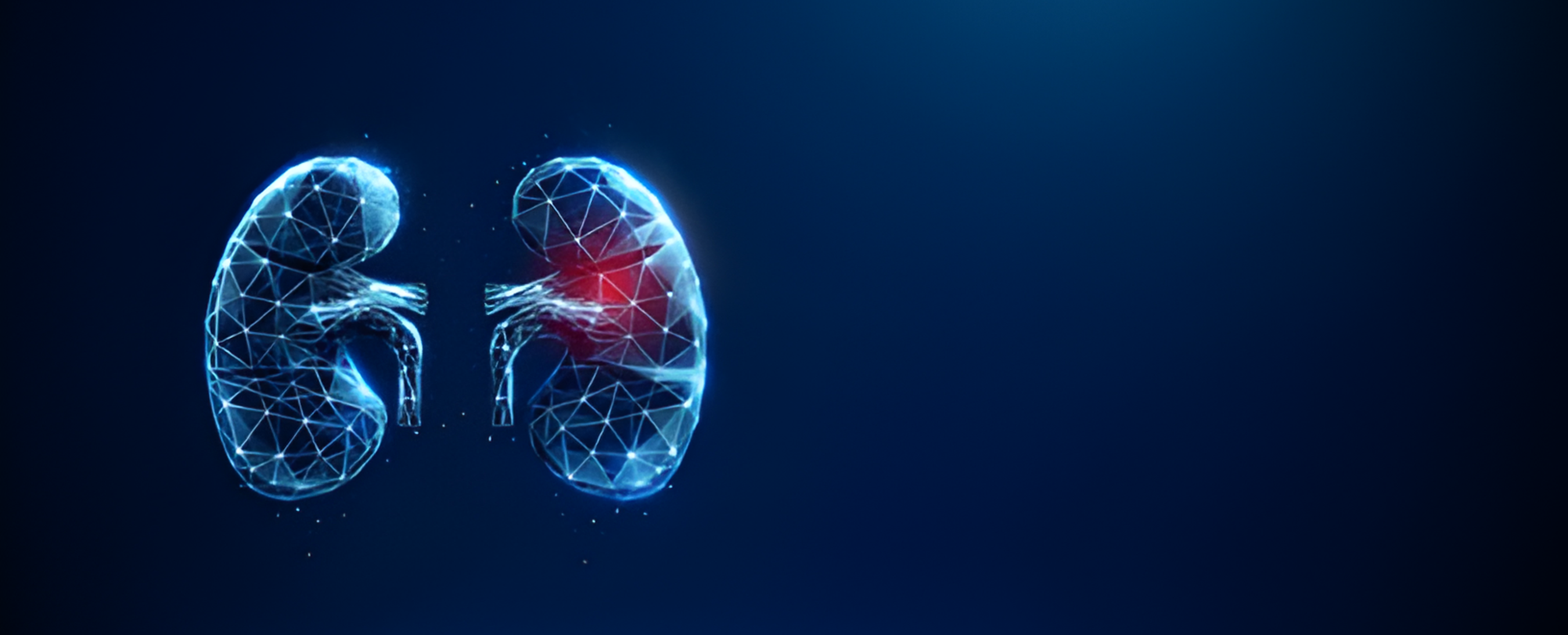 Preparing for Kidney Function Tests