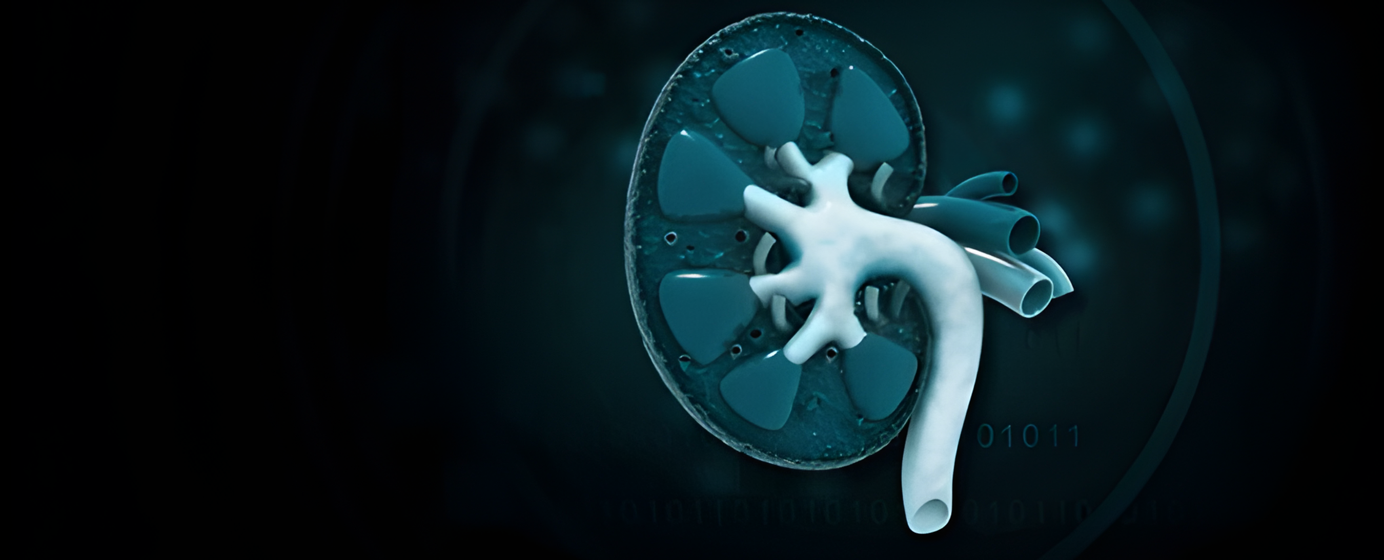 Conclusion - Kidney Health Management