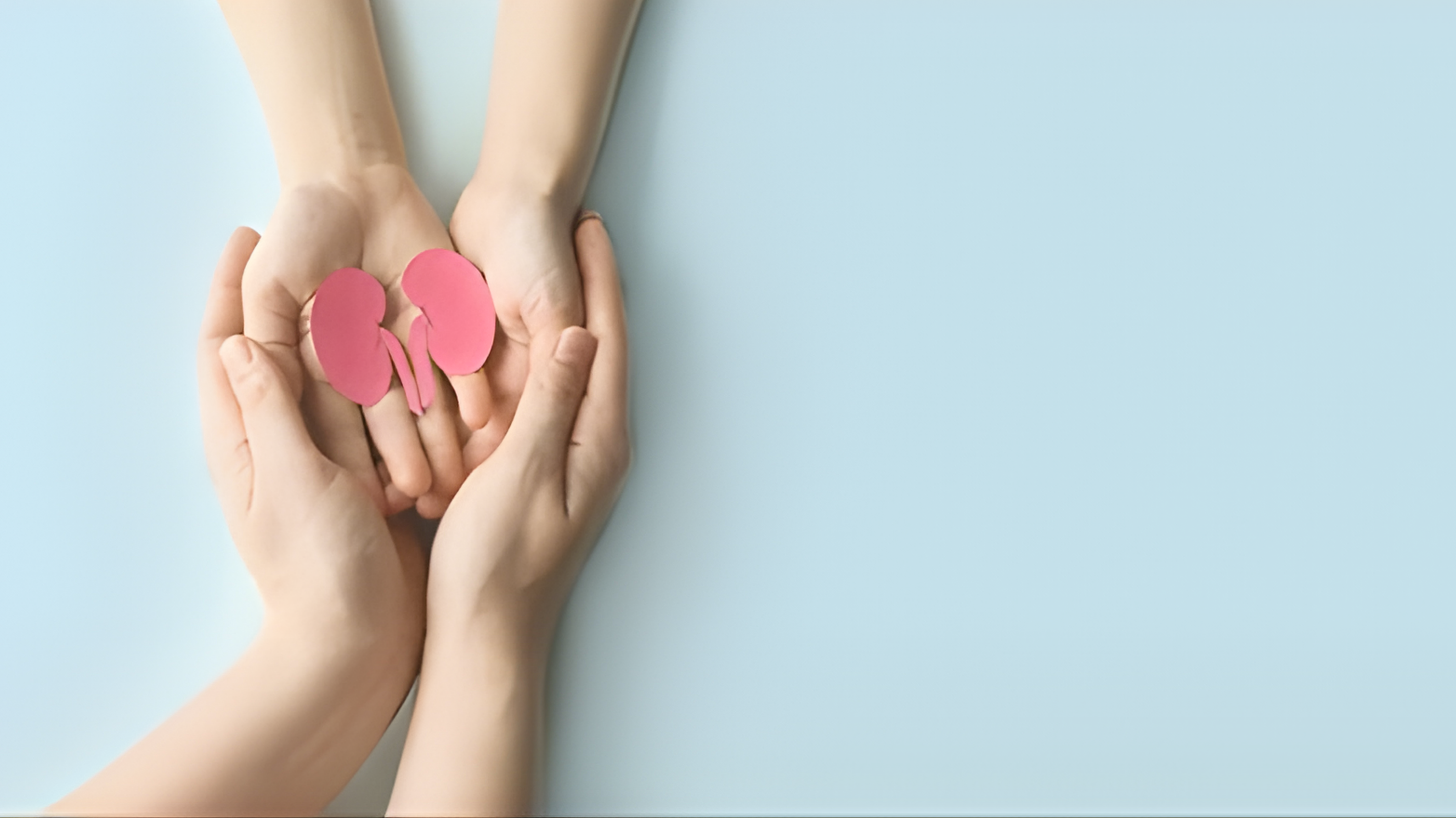 Kidney Function Tests (KFT) in Delhi NCR: Comprehensive Guide to Renal Health Assessment