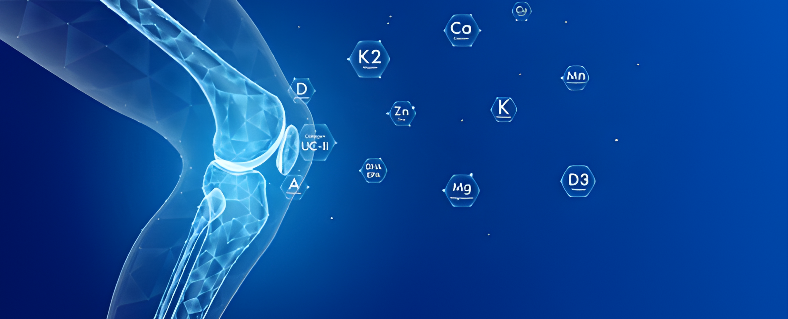 Technology in Nutritional Health