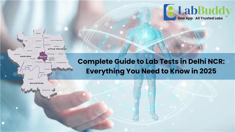 Complete Guide to Lab Tests in Delhi NCR: Everything You Need to Know in 2025